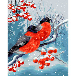 „Wizardi Painting by Numbers“ rinkinys Bullfinches 40x50 cm L026