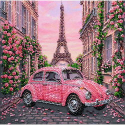 Vidutinio dydžio karoliukų siuvinėjimo rinkinys -La Vie en rose AAMB-141