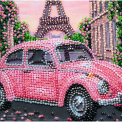 Vidutinio dydžio karoliukų siuvinėjimo rinkinys -La Vie en rose AAMB-141