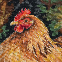 Cross-stitch kit "Hen in the Yard" 23 х 30 cm AAH-326