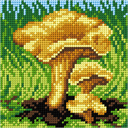 Cross stitch kit "Chanterelle Mushrooms" 13,5 x 13,5 cm SAM2202