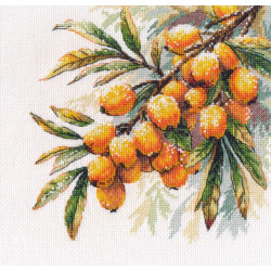 Kreuzstich-Set "Sanddorn-Zweig" 17×17 cm S1734