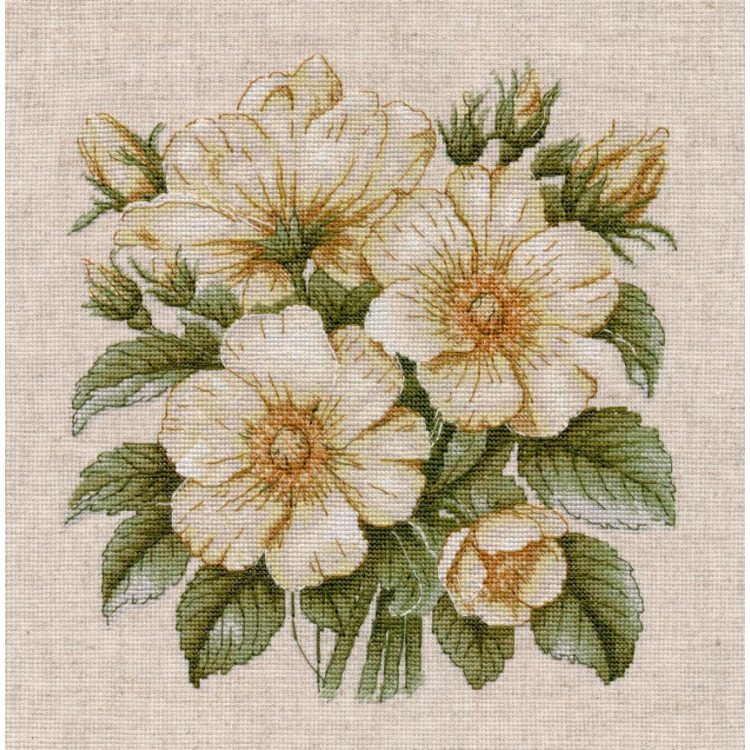 Kreuzstich-Set "Wildrosenhüften" 23×23 cm S1731