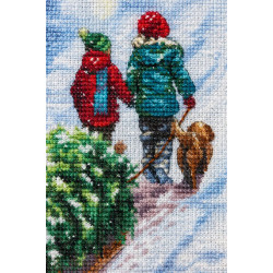 cross-stitch kit