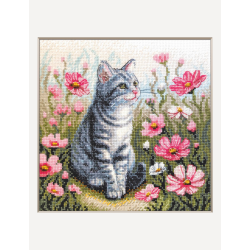 Cross stitch kit "Garden Whiskers" 20x20 SRA1041