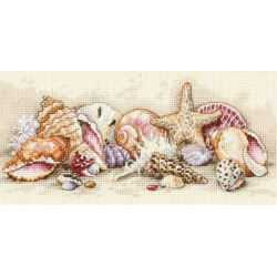 Seashell Tresures D65035