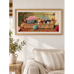 Kitty Litter D35184