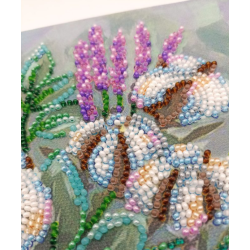 Midi Bead Embroidery Kit on Art Canvas "Gentle dream" AAMB-091