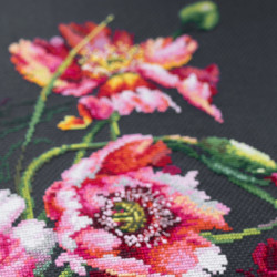 Cross stitch kit  The Mystery of Poppies 40 x 30 cm 210-192