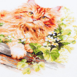 Cross stitch kit  The Ginger Cat 26 x 26 cm 70-22