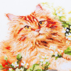 Cross stitch kit  The Ginger Cat 26 x 26 cm 70-22