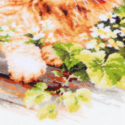Cross stitch kit  The Ginger Cat 26 x 26 cm 70-22