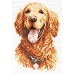 Cross stitch kit  Golden Retriever 20 x 28 cm 59-24