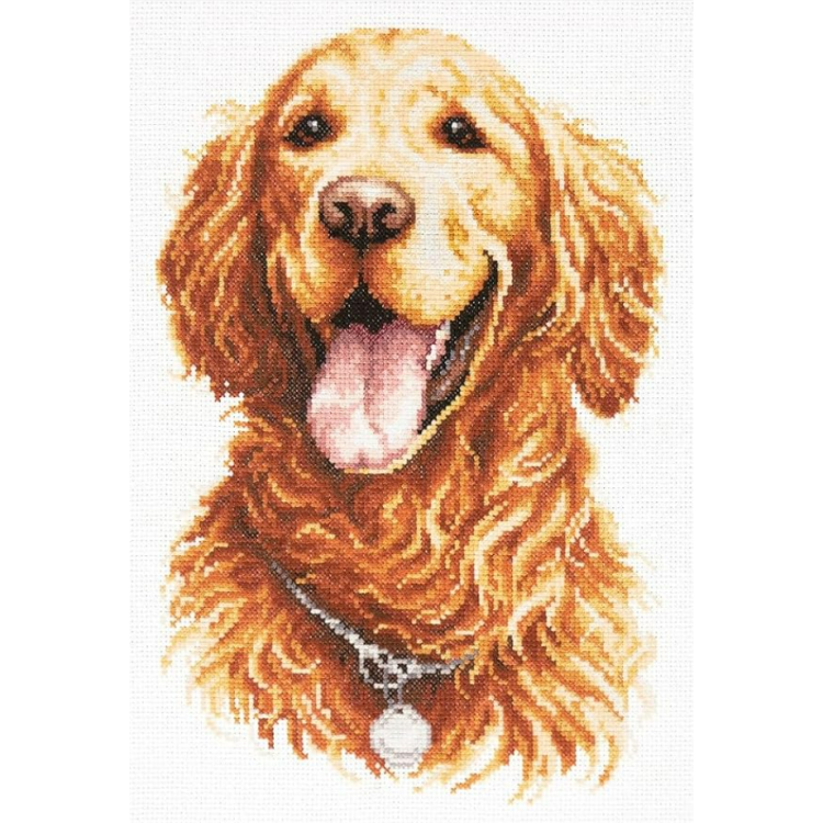 Cross stitch kit  Golden Retriever 20 x 28 cm 59-24