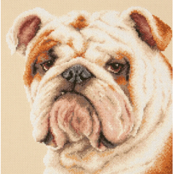 Cross stitch kit  Bulldog 25 x 25 cm 59-21