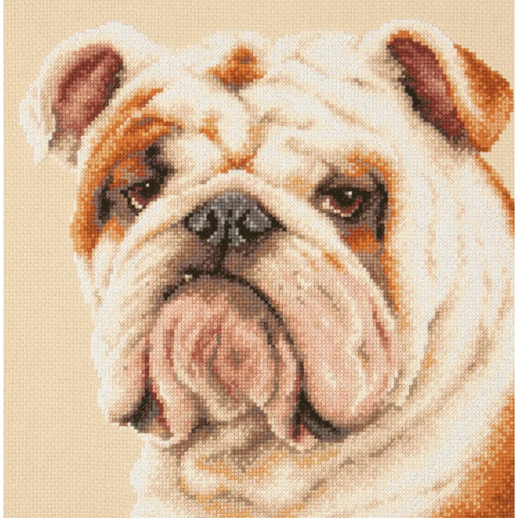 Cross stitch kit  Bulldog 25 x 25 cm 59-21