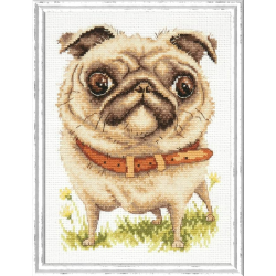 Cross stitch kit  Pug-dog 16 x 20 cm 16-17