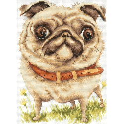 Cross stitch kit  Pug-dog 16 x 20 cm 16-17