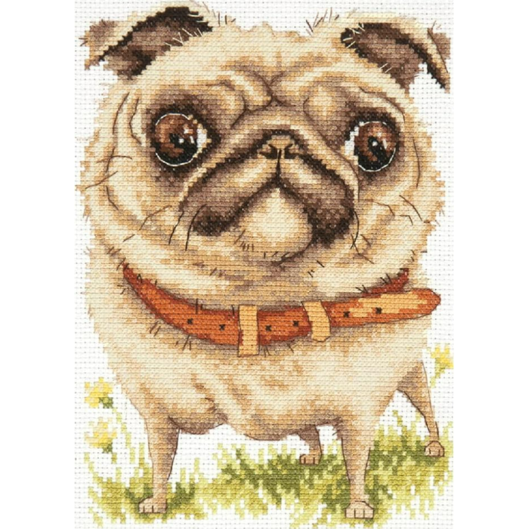 Cross stitch kit  Pug-dog 16 x 20 cm 16-17 MN-16-17