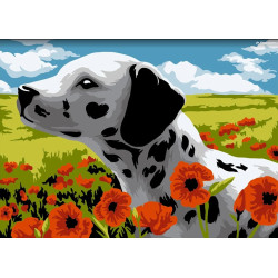 Dažų pagal skaičius rinkinys Dalmatian 16x13 cm MINI144