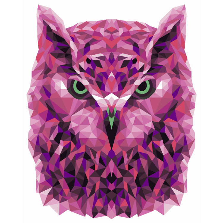 Malen nach Zahlen Set. P002 Eule (Polygonstil) 40*50