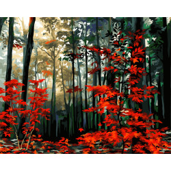 Painting by numbers kit. A140 Morning in the autumn forest 40*50