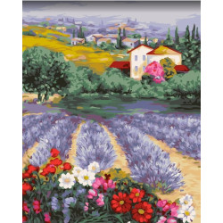 Wizardi painting by number kit. Provence expanse 40x50 cm A142