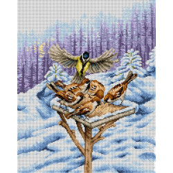 Tapestry canvas 40x50 SA2284
