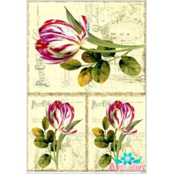 Rice card for decoupage "Tulips on an old background" 21x29 cm AM400128D