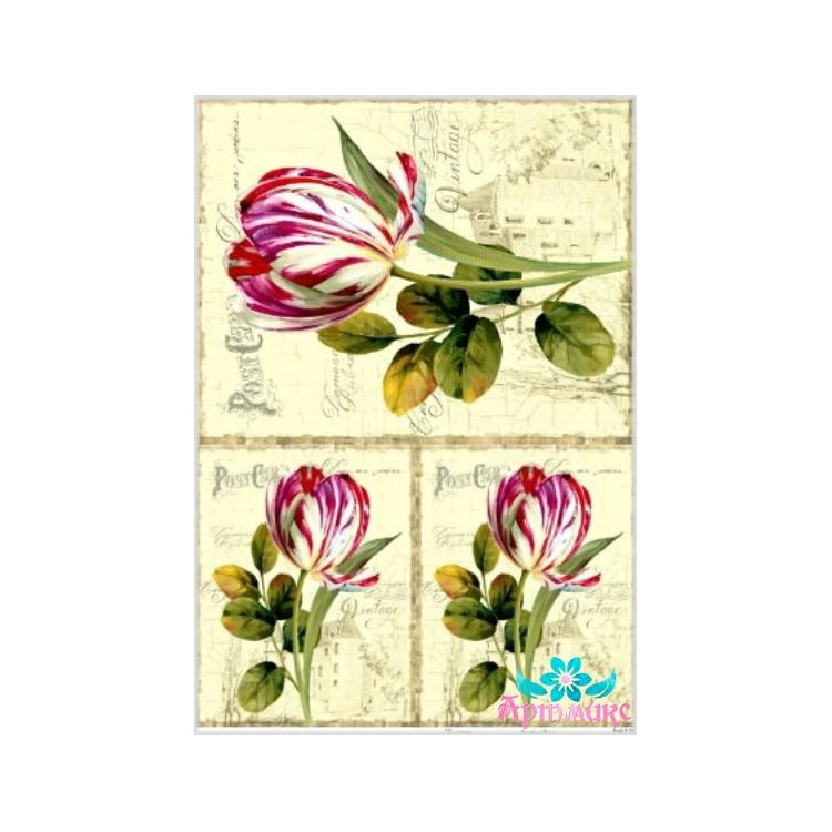Rice card for decoupage "Tulips on an old background" 21x29 cm AM400128D