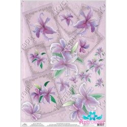 Rice card for decoupage "Lilies with frames" 21x29 cm AM400155D