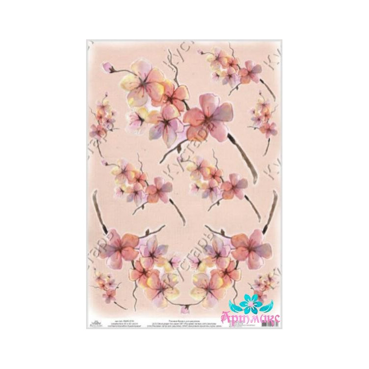 Rice card for decoupage "Delicate magnolia" 21x29 cm AM400164D