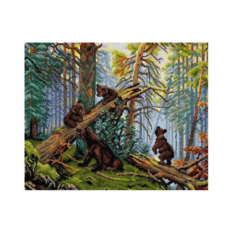 Gobeleno drobė 40x50 SA2840