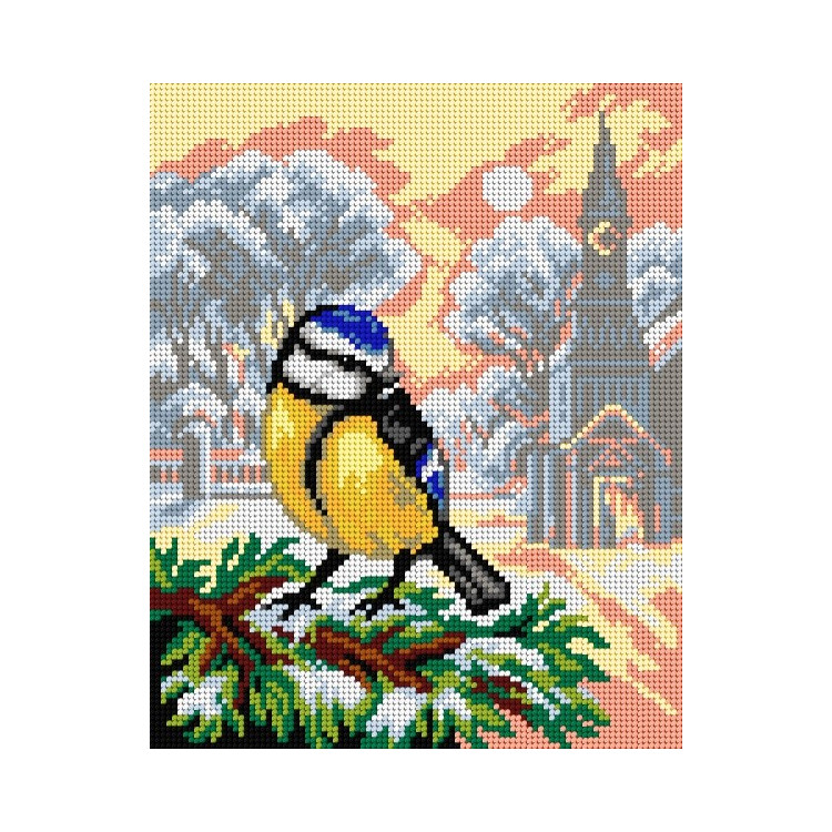 Mėlynoji zylė 24x30 SA2976