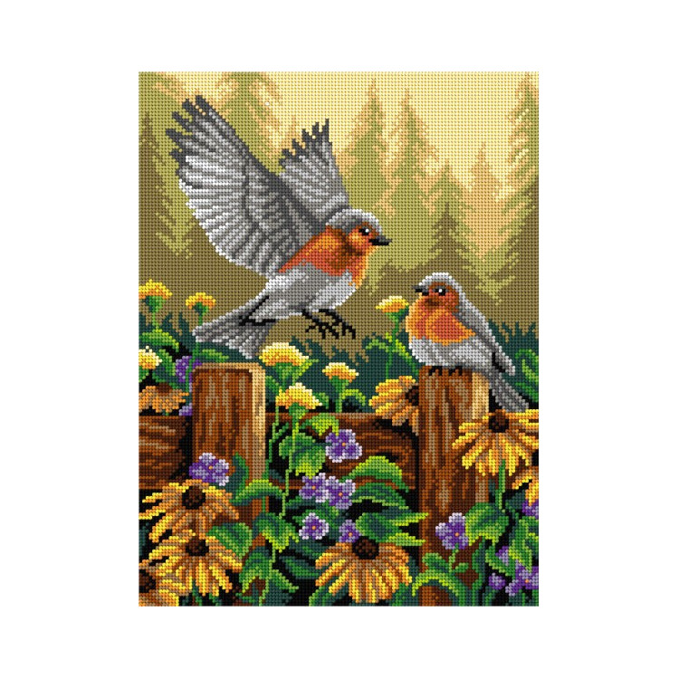Tapestry canvas Robins 30x40 SA3050