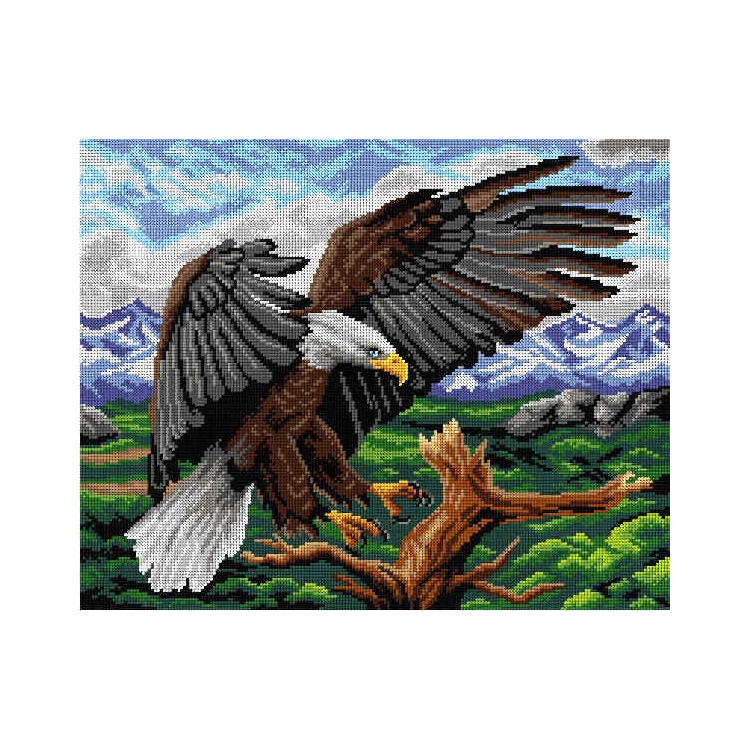 Tapestry canvas Bald Eagle 40x50 SA3004