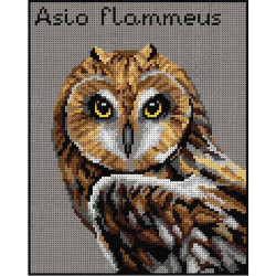 Tapestry canvas Short-Eared Owl 24x30 SA3017