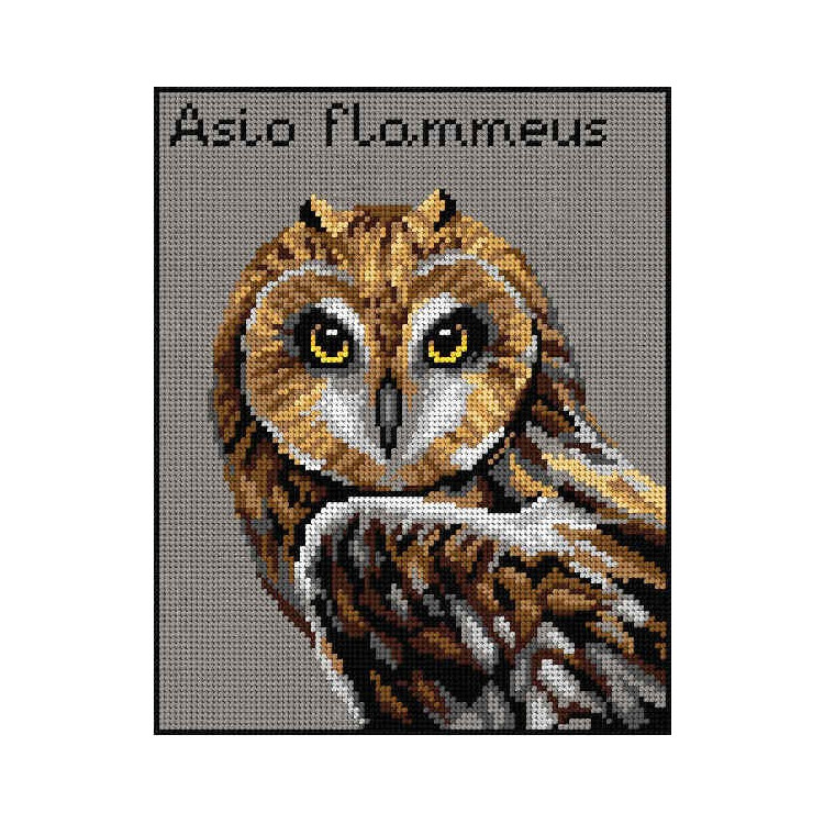 Tapestry canvas Short-Eared Owl 24x30 SA3017
