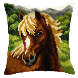 Cushion kit for embroidery SA9549