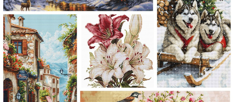 Nauji produktai - Luca-S