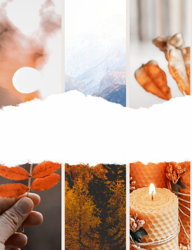 Collection of autumn themes